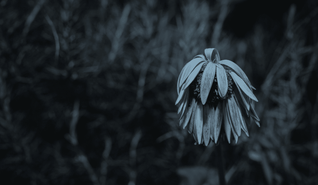 Ask Kari: How can I help my depressed teenage daughter?