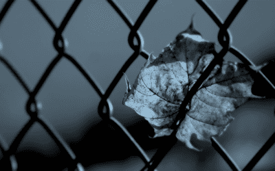 Ask Kari: After my father spent his retirement money, he wants to move in with us. What should I do?